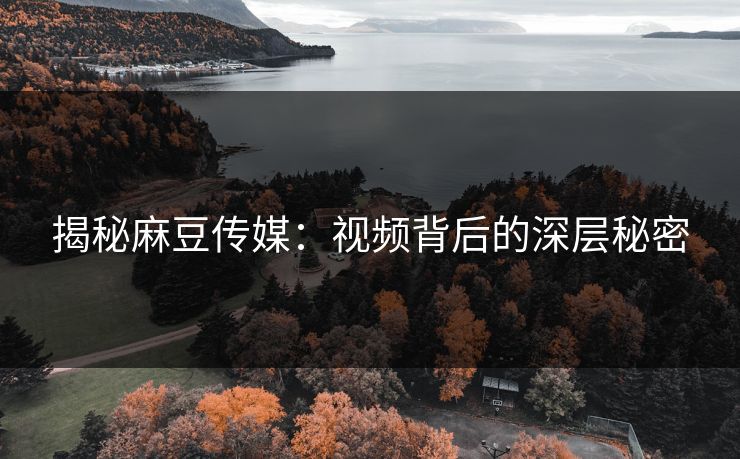 揭秘麻豆传媒：视频背后的深层秘密