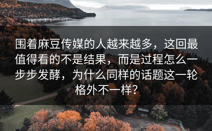 围着麻豆传媒的人越来越多，这回最值得看的不是结果，而是过程怎么一步步发酵，为什么同样的话题这一轮格外不一样？