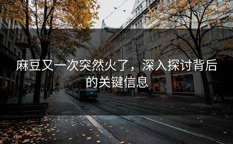 麻豆又一次突然火了，深入探讨背后的关键信息