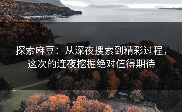 探索麻豆：从深夜搜索到精彩过程，这次的连夜挖掘绝对值得期待