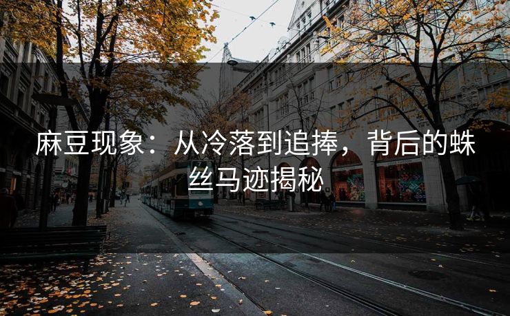 麻豆现象：从冷落到追捧，背后的蛛丝马迹揭秘