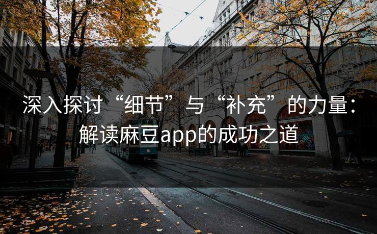 深入探讨“细节”与“补充”的力量：解读麻豆app的成功之道