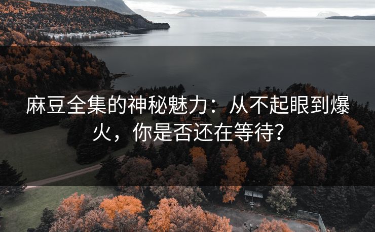 麻豆全集的神秘魅力:从不起眼到爆火,你是否还在等待?