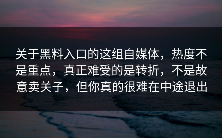 关于黑料入口的这组自媒体，热度不是重点，真正难受的是转折，不是故意卖关子，但你真的很难在中途退出