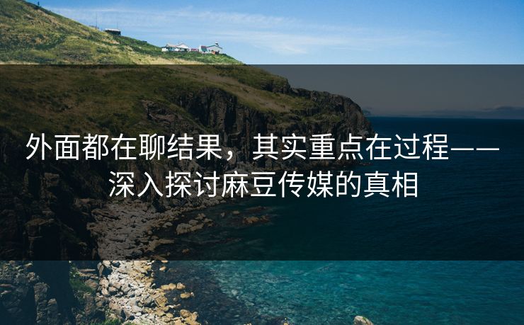 外面都在聊结果，其实重点在过程——深入探讨麻豆传媒的真相