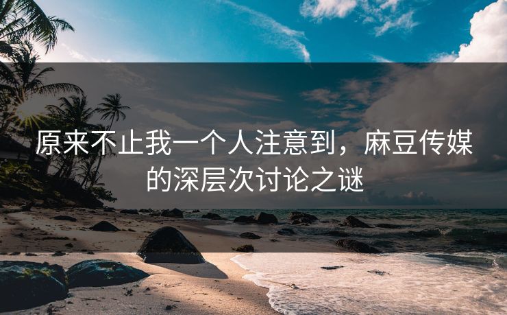 原来不止我一个人注意到，麻豆传媒的深层次讨论之谜