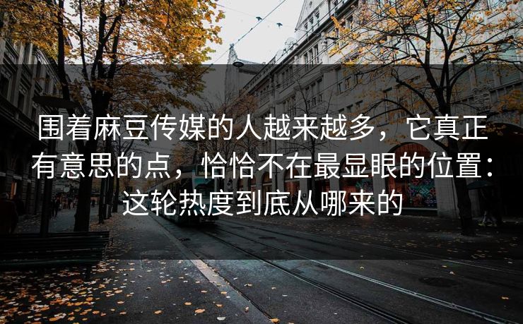 围着麻豆传媒的人越来越多，它真正有意思的点，恰恰不在最显眼的位置：这轮热度到底从哪来的