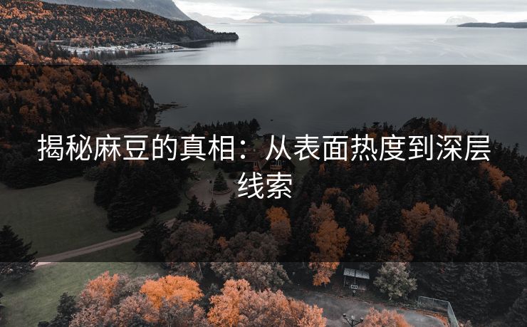 揭秘麻豆的真相：从表面热度到深层线索