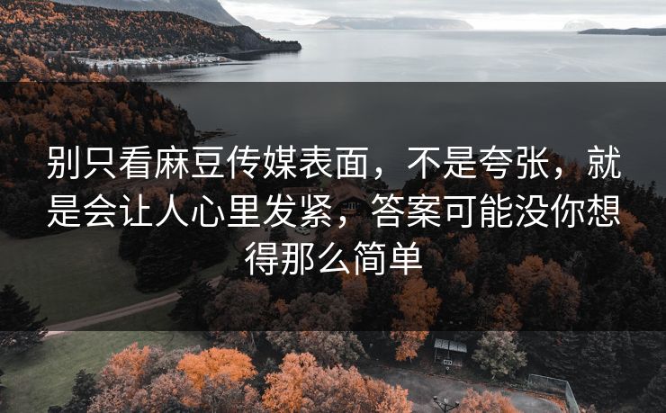 别只看麻豆传媒表面，不是夸张，就是会让人心里发紧，答案可能没你想得那么简单