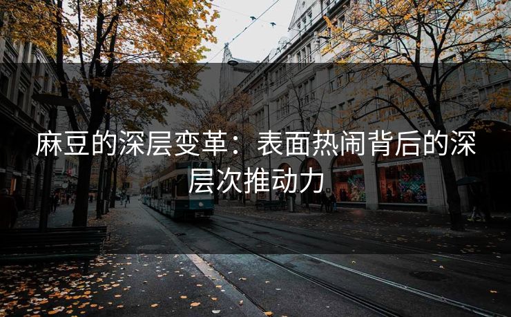 麻豆的深层变革：表面热闹背后的深层次推动力