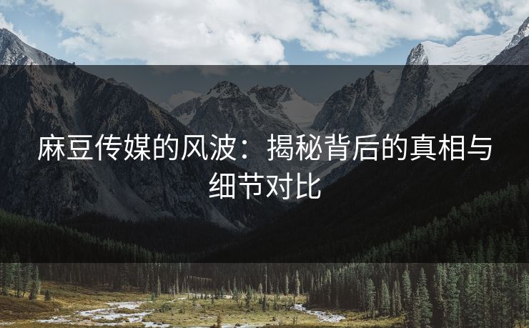 麻豆传媒的风波：揭秘背后的真相与细节对比