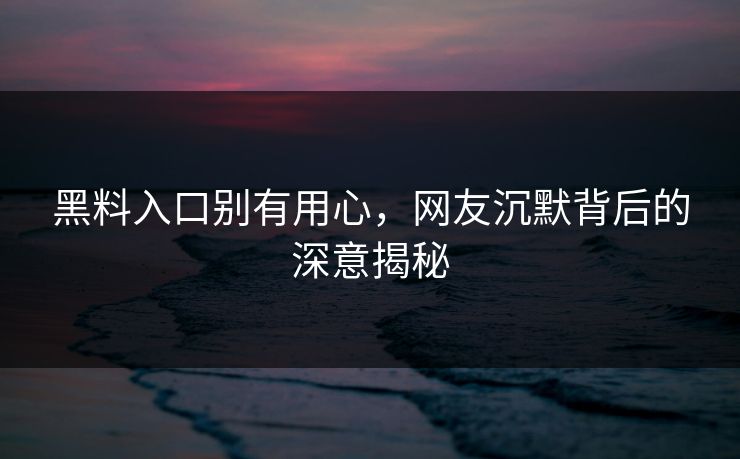 黑料入口别有用心，网友沉默背后的深意揭秘