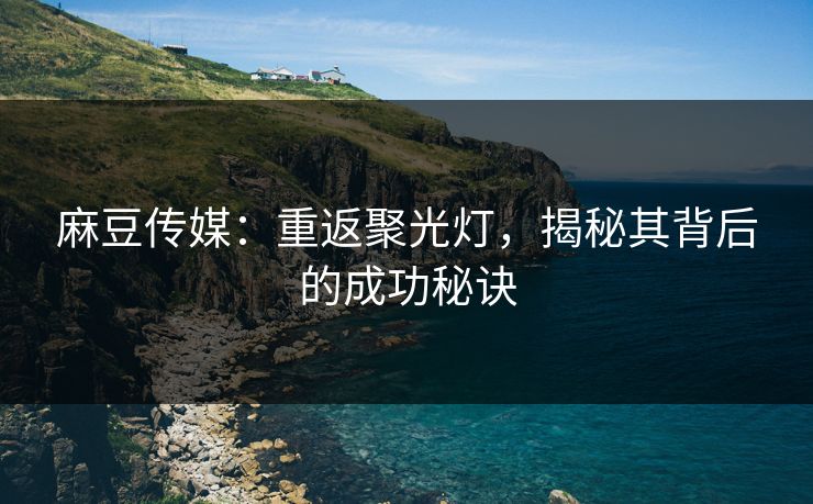 麻豆传媒：重返聚光灯，揭秘其背后的成功秘诀